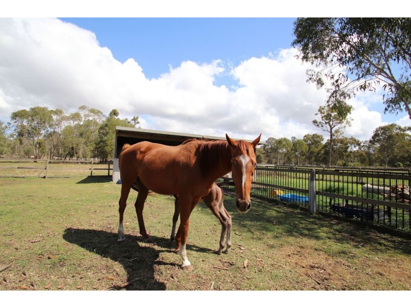 88 Priests Road, Deception Bay QLD 4508