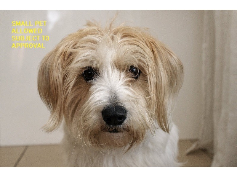 4/20 Armstrong St, Petrie QLD 4502