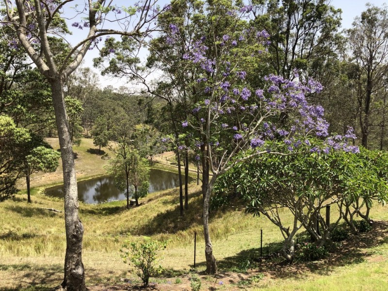 Wamuran QLD 4512