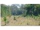 Wamuran QLD 4512