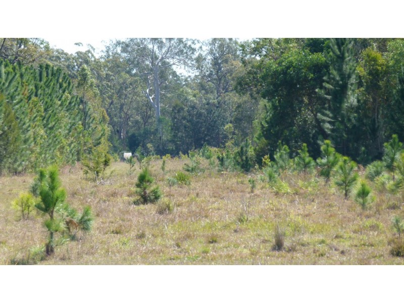 Wamuran QLD 4512