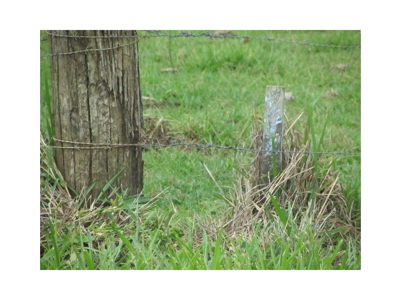 Upper Caboolture QLD 4510