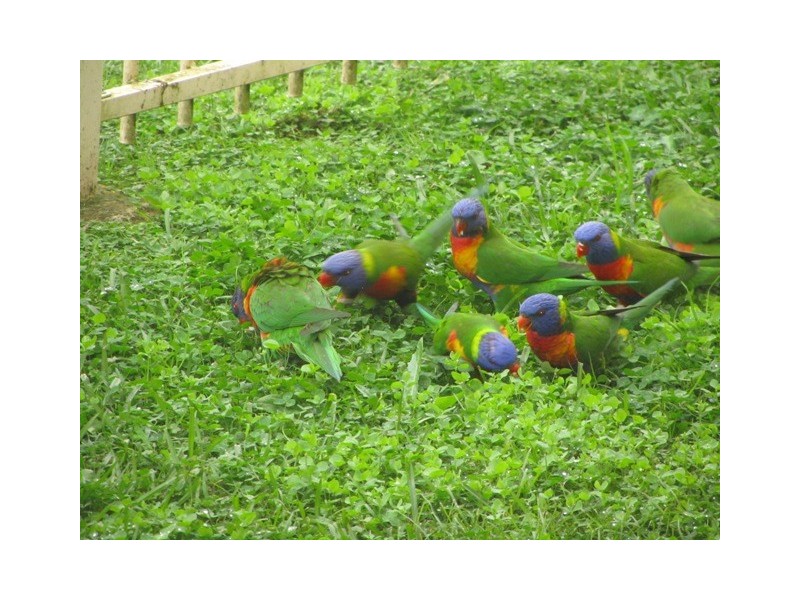 56 Xanadu Dr, Bellmere QLD 4510