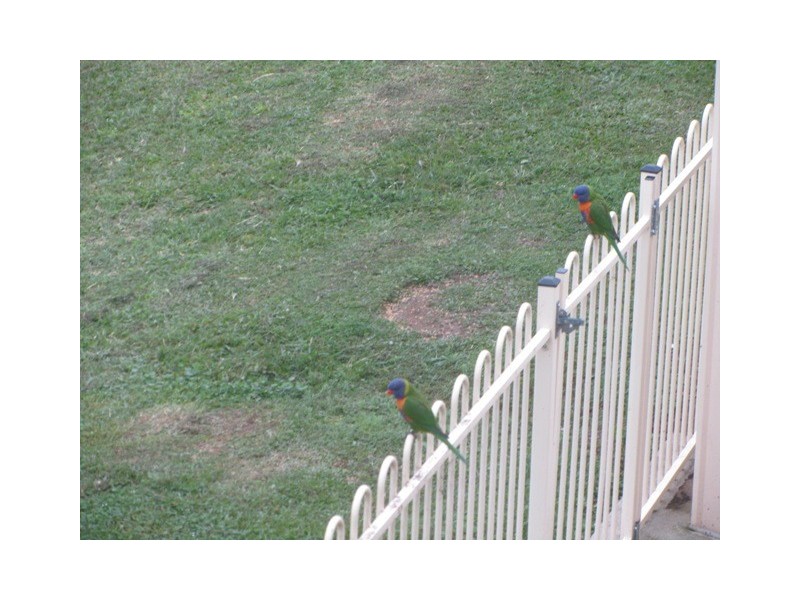 56 Xanadu Dr, Bellmere QLD 4510