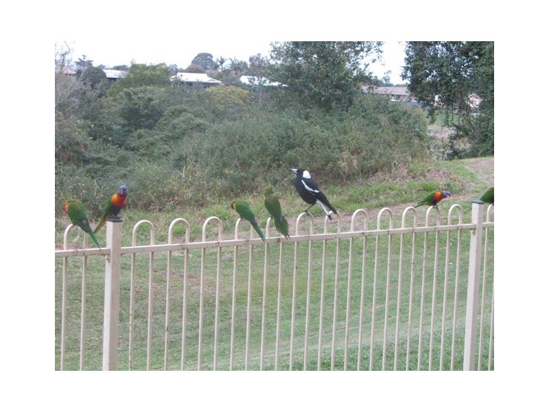 56 Xanadu Dr, Bellmere QLD 4510