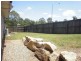 1 Koala Drive, Morayfield QLD 4506
