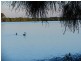 25 Amy St, Donnybrook QLD 4510
