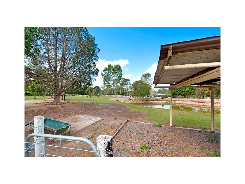 236 Mansfield Road, Elimbah QLD 4516