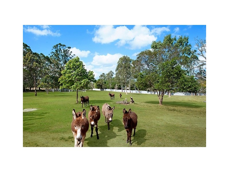 Elimbah QLD 4516