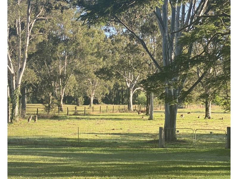 23 Currawong Pl, Bellmere QLD 4510