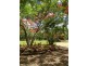 Upper Caboolture QLD 4510
