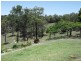 Delaneys Creek QLD 4514