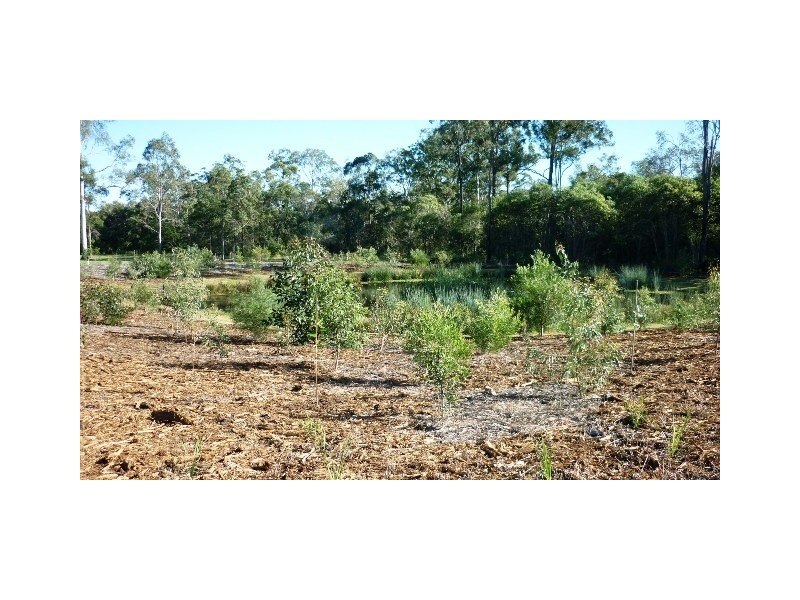 37 Nicole St, Morayfield QLD 4506