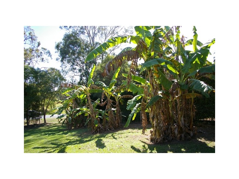 13-15 Ada Cres, Upper Caboolture QLD 4510