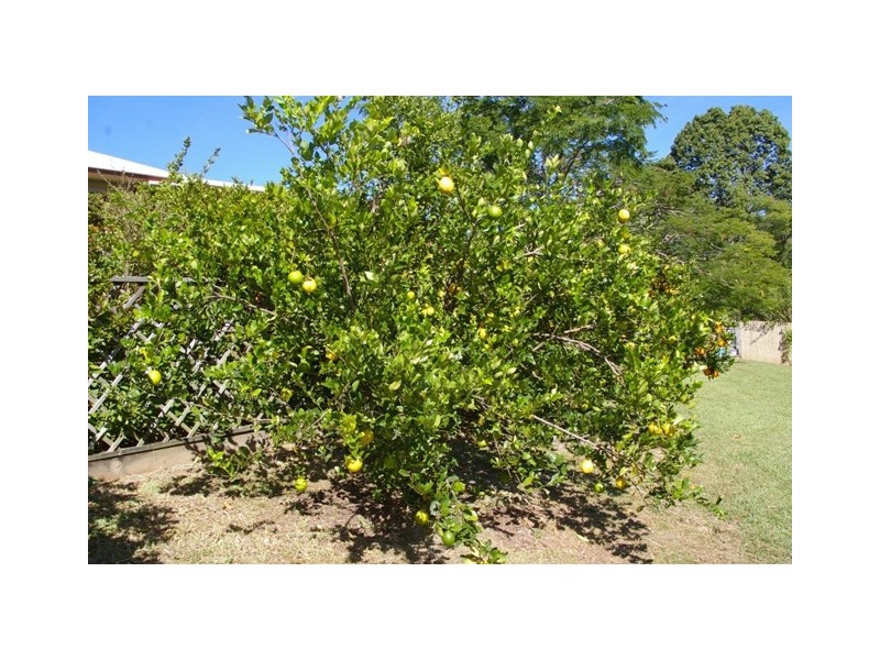 13-15 Ada Cres, Upper Caboolture QLD 4510