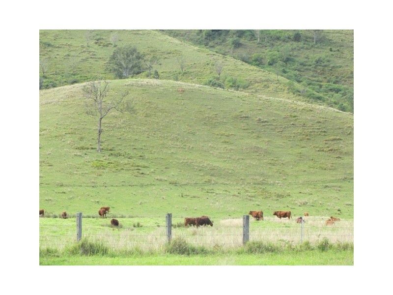 Mount Kilcoy QLD 4515