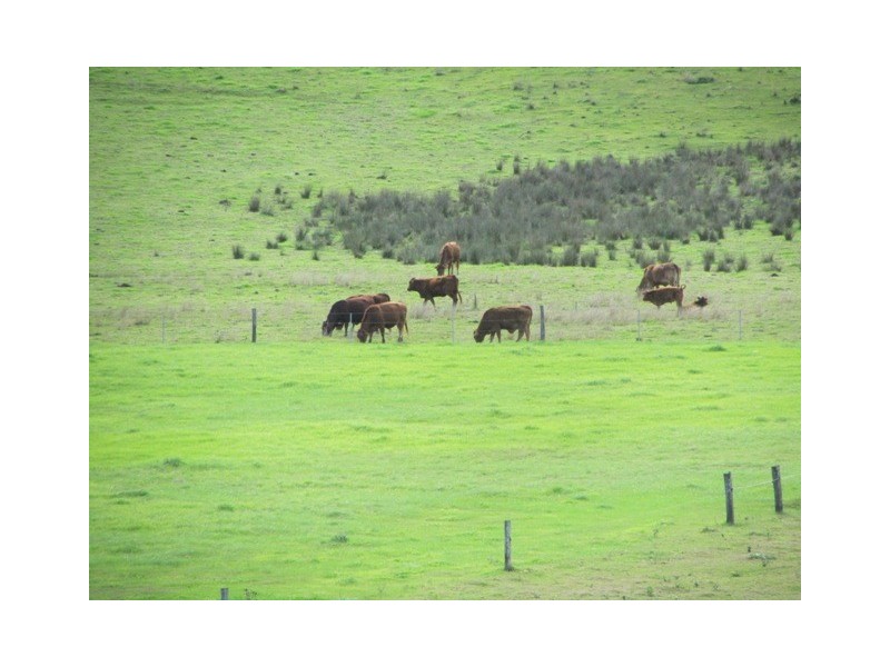 Mount Kilcoy QLD 4515