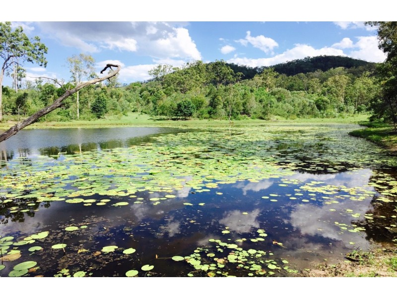 Delaneys Creek QLD 4514