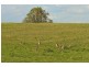 Lot 12 Wade Street, Kilcoy QLD 4515