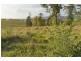 Lot 6 Wade Street, Kilcoy QLD 4515
