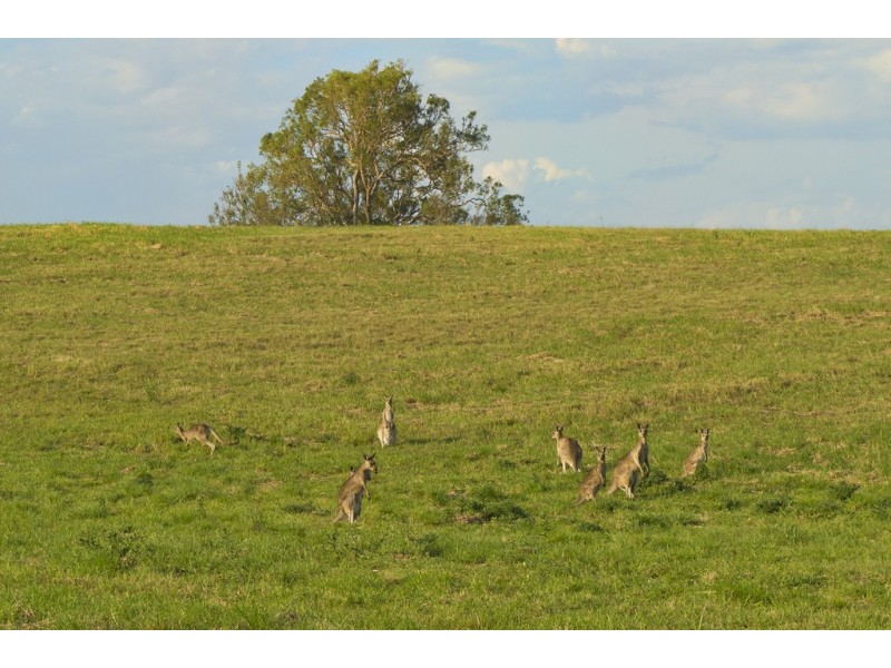 Lot 5 Wade Street, Kilcoy QLD 4515