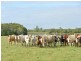 Beachmere QLD 4510