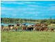 Beachmere QLD 4510