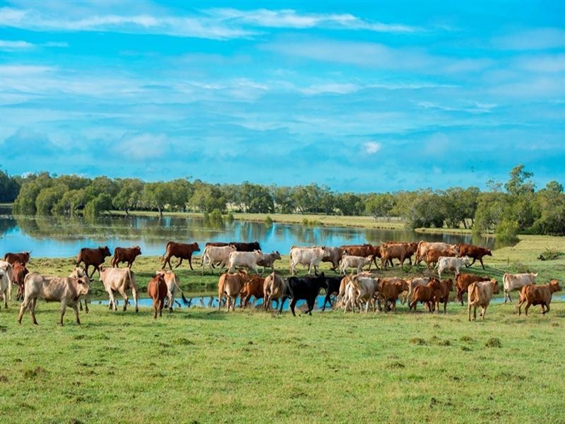 Beachmere QLD 4510