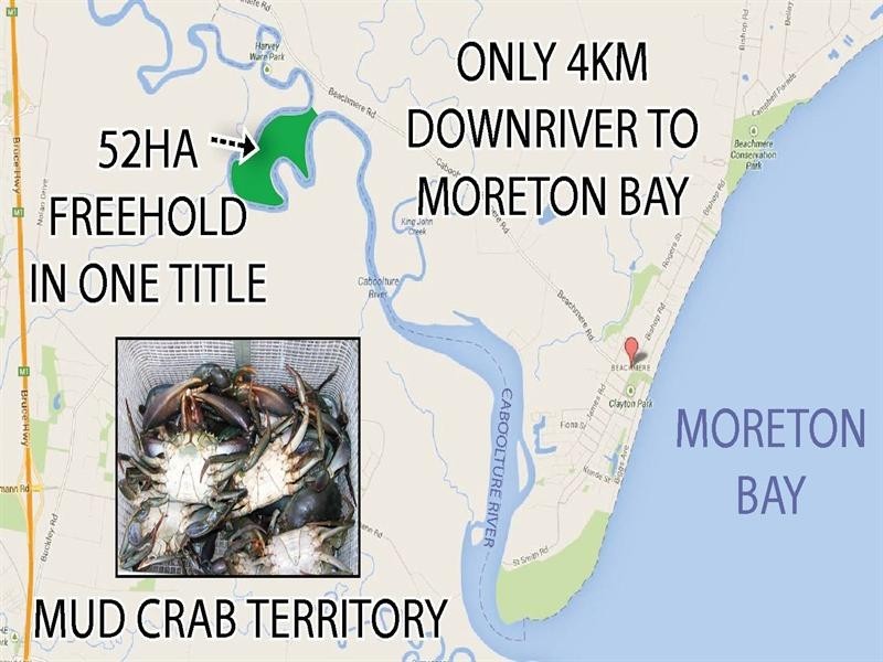 Beachmere QLD 4510