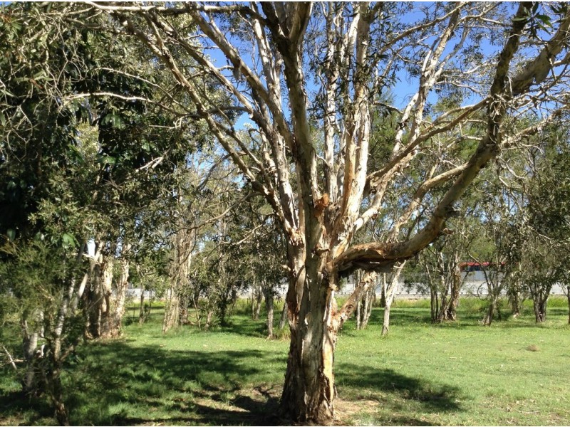 67 Old Toorbul Point Road, Caboolture QLD 4510