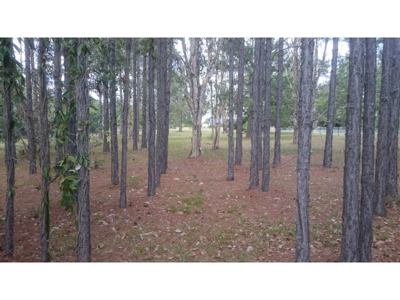 18 Fairmount Street, Elimbah QLD 4516