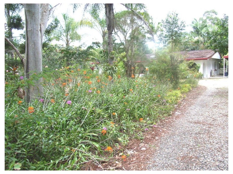Burpengary QLD 4505