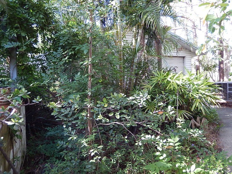 Burpengary QLD 4505