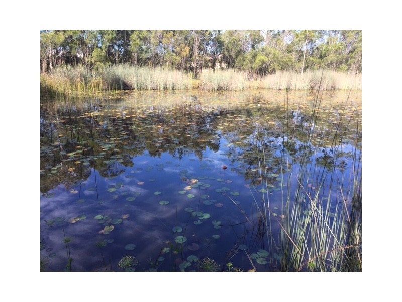 Burpengary QLD 4505
