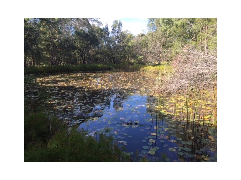 Burpengary QLD 4505