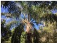 Burpengary QLD 4505