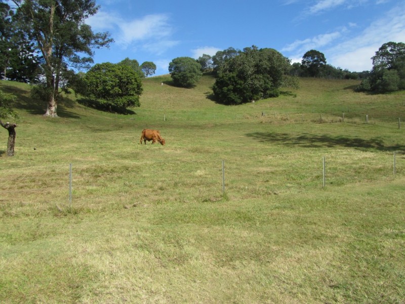 263 Basin Road, Wamuran QLD 4512