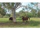 Beachmere QLD 4510