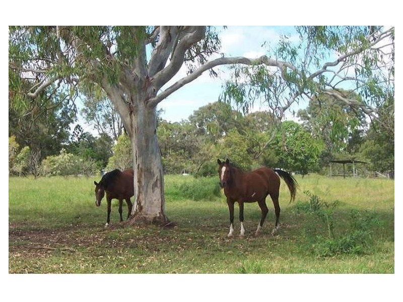 Beachmere QLD 4510