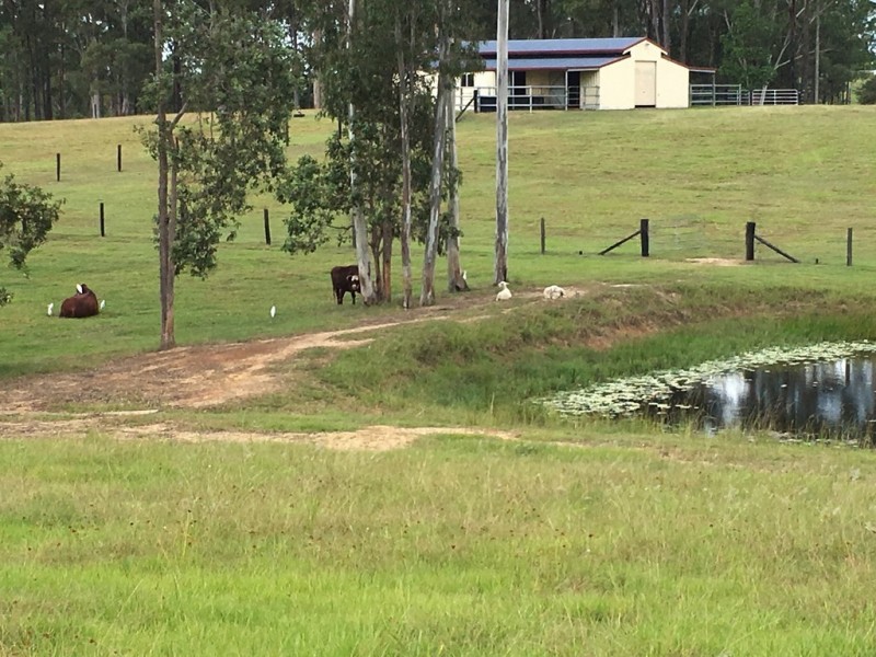 Wamuran QLD 4512