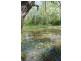 Bellmere QLD 4510