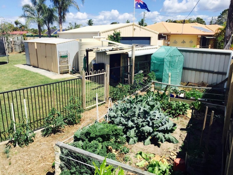 36 Symphony Crescent, Burpengary QLD 4505