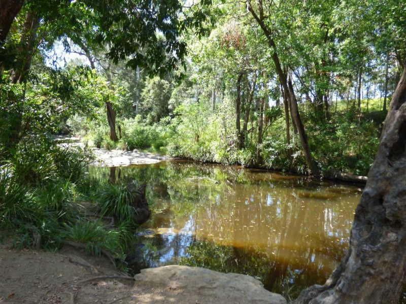 1140 Caboolture River Road, Rocksberg QLD 4510