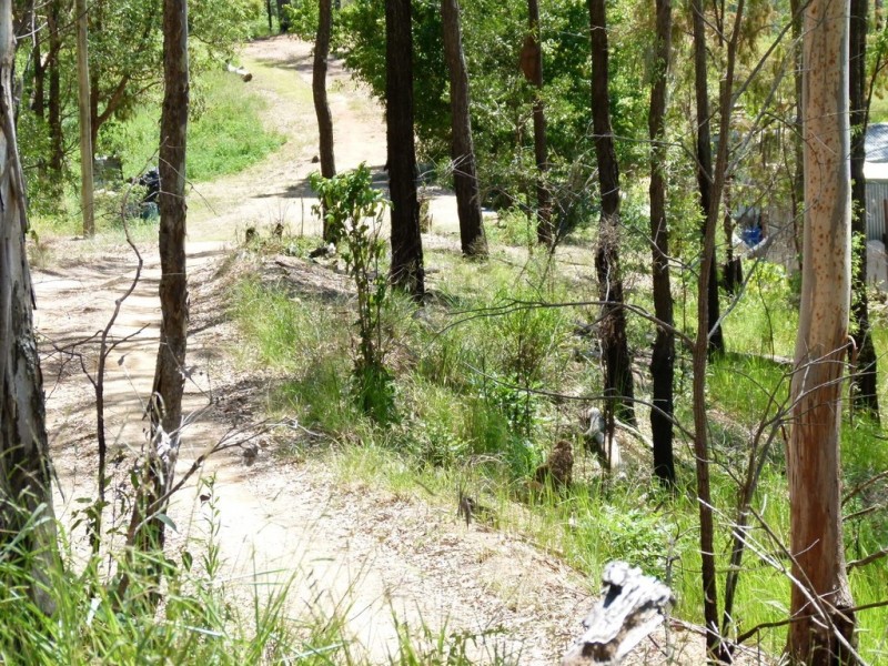 Wamuran QLD 4512