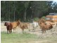 Moodlu QLD 4510