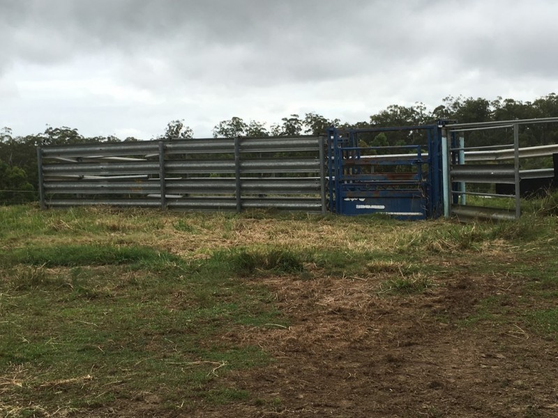 210 Woodlands Drive, Wamuran QLD 4512