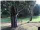 1310 Caboolture River Road, Rocksberg QLD 4510