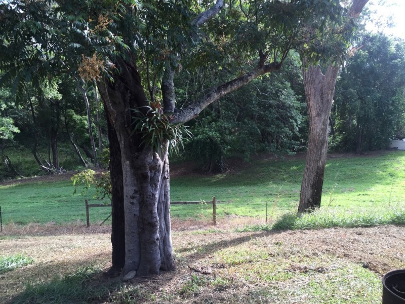 1310 Caboolture River Road, Rocksberg QLD 4510
