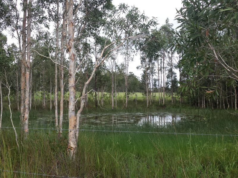 Elimbah QLD 4516