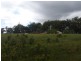 Elimbah QLD 4516